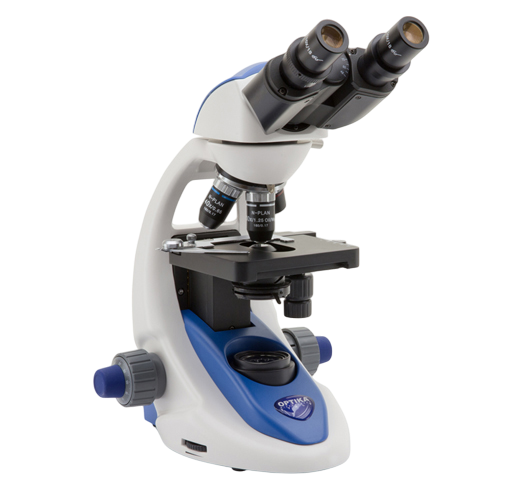 Our Special Products